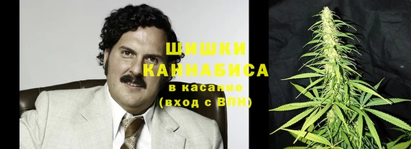 ПСИЛОЦИБИНОВЫЕ ГРИБЫ Протвино