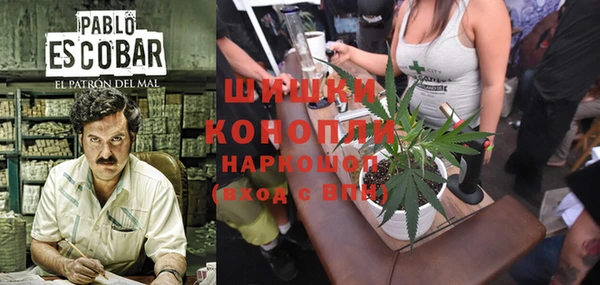 ПСИЛОЦИБИНОВЫЕ ГРИБЫ Протвино