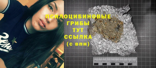 ПСИЛОЦИБИНОВЫЕ ГРИБЫ Протвино